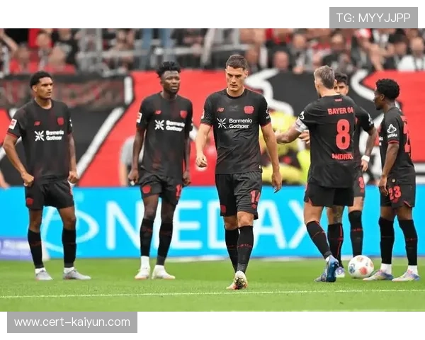 霍芬海姆vs弗赖堡，冲欧劲旅与铁血防守的攻防博弈